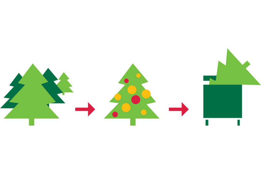 RECYCLAGE DES SAPINS : AIRE DE COLLECTE